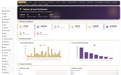 DoliResources - Dolibarr - 01_tableau_de_bord_07dc5f91-7c53-48a3-96f4-57a63dea953c