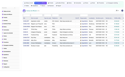 DoliResources - Dolibarr - 02_channels