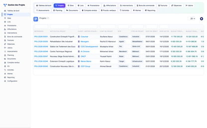 Project Management - Dolibarr