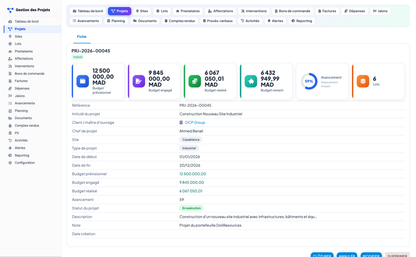 Project Management - Dolibarr