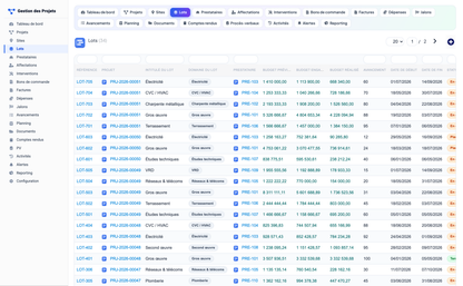 Project Management - Dolibarr