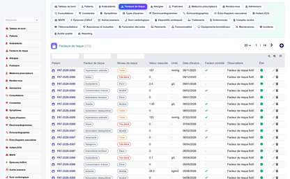 DoliResources - Dolibarr - 04_risk_factors