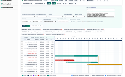 DoliResources - Dolibarr - 05_vue_jour