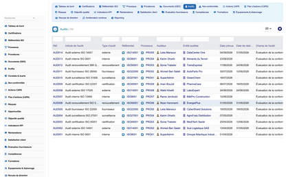 DoliResources - Dolibarr - 06_audits
