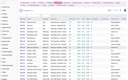 DoliResources - Dolibarr - 06_services