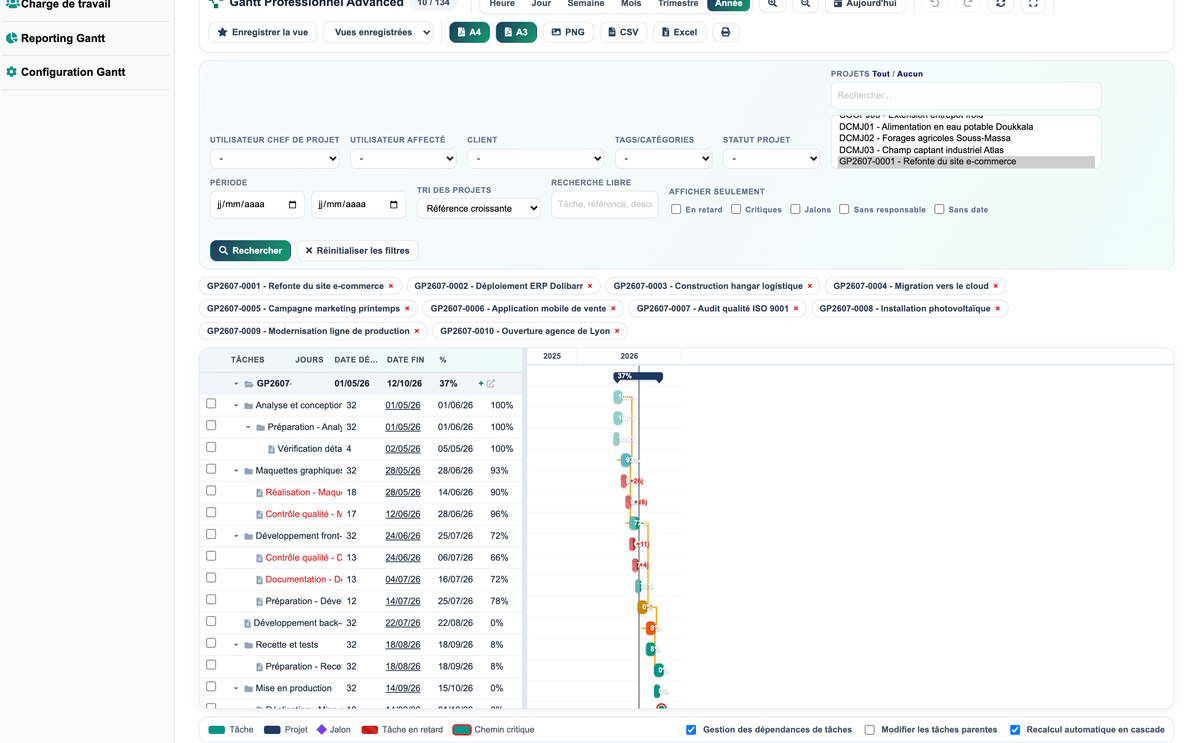 DoliResources - Dolibarr - 09_vue_annee