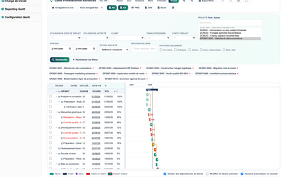 DoliResources - Dolibarr - 09_vue_annee