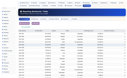 DoliResources - Dolibarr - 10_reporting