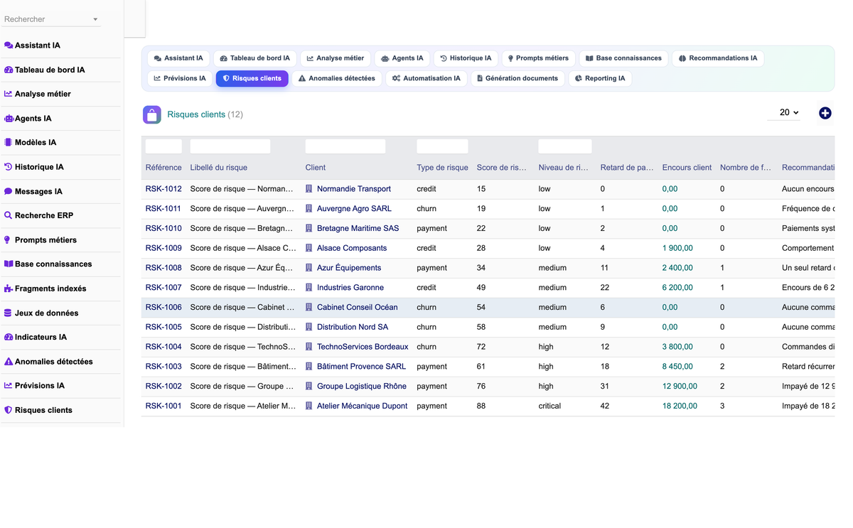 DoliResources - Dolibarr - 10_risques_clients