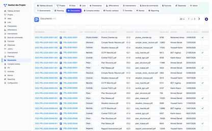 Project Management - Dolibarr