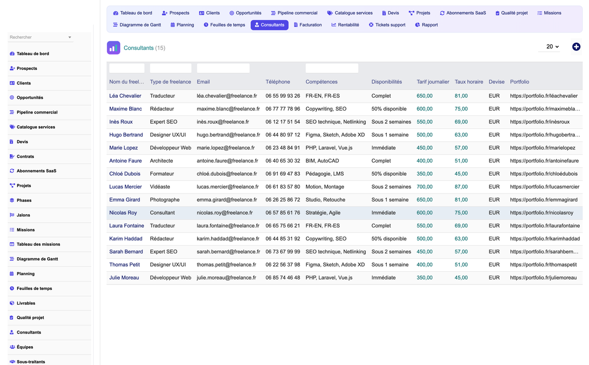 DoliResources - Dolibarr - 13_consultants