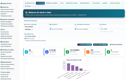 Stock Movement Report Pro