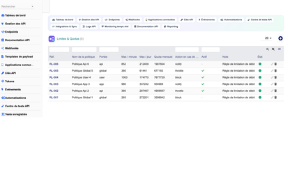 DoliResources - Dolibarr - 19_limites_quotas