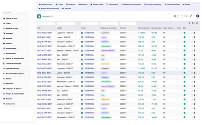 DoliResources - Dolibarr - 22_budgets