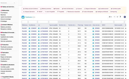 DoliResources - Dolibarr - 22_palettisation