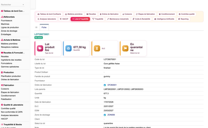 DoliResources - Dolibarr - 24_fiche_lot