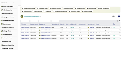 DoliResources - Dolibarr - 25_consommation_energetique