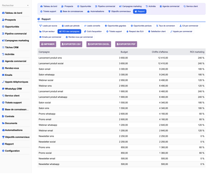 DoliResources - Dolibarr - 32_report_campaignroi_c553dac4-624c-4451-94c3-83bd1c12fb79