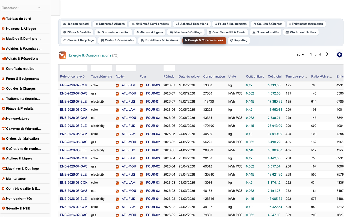 DoliResources - Dolibarr - 33_energie