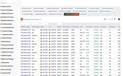 DoliResources - Dolibarr - 33_energie