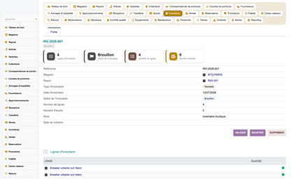 Footwear Store Management - Dolibarr