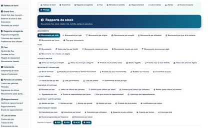 Stock Movement Report Pro