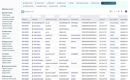 Access Manager Pro — advanced access control for Dolibarr