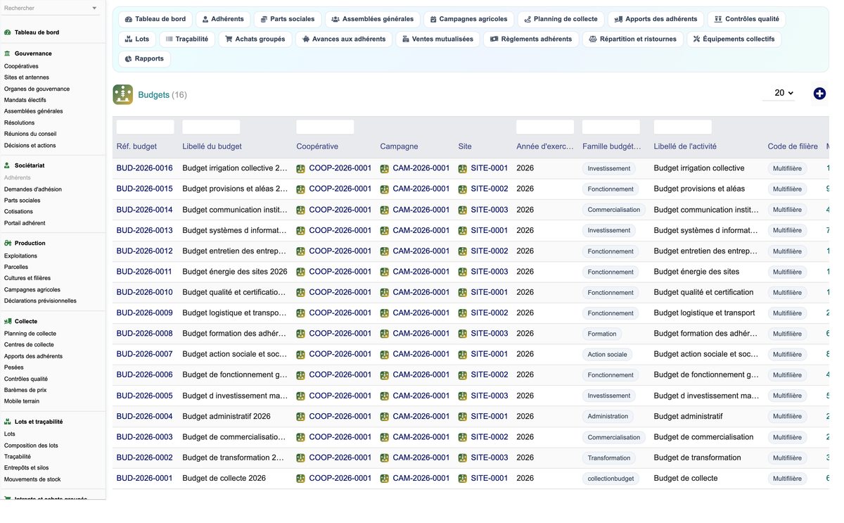 DoliResources - Dolibarr - 52_budgets