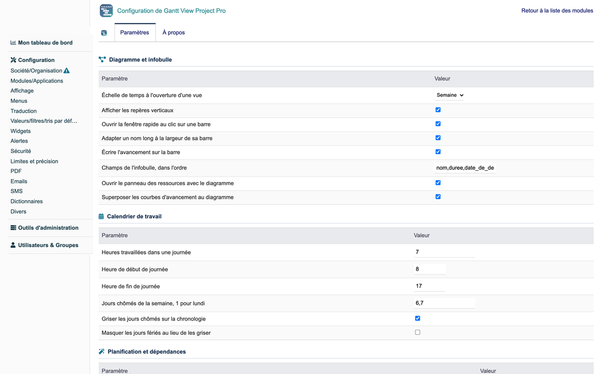 Gantt View Project Pro