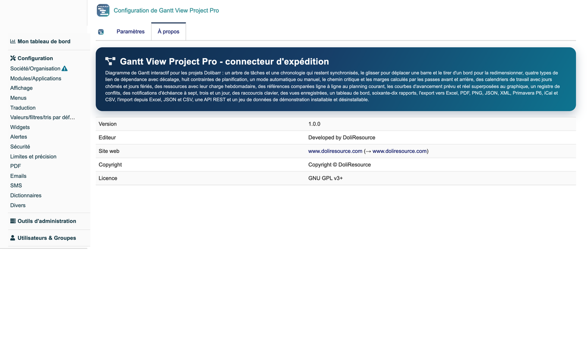 Gantt View Project Pro
