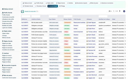 Access Manager Pro — advanced access control for Dolibarr