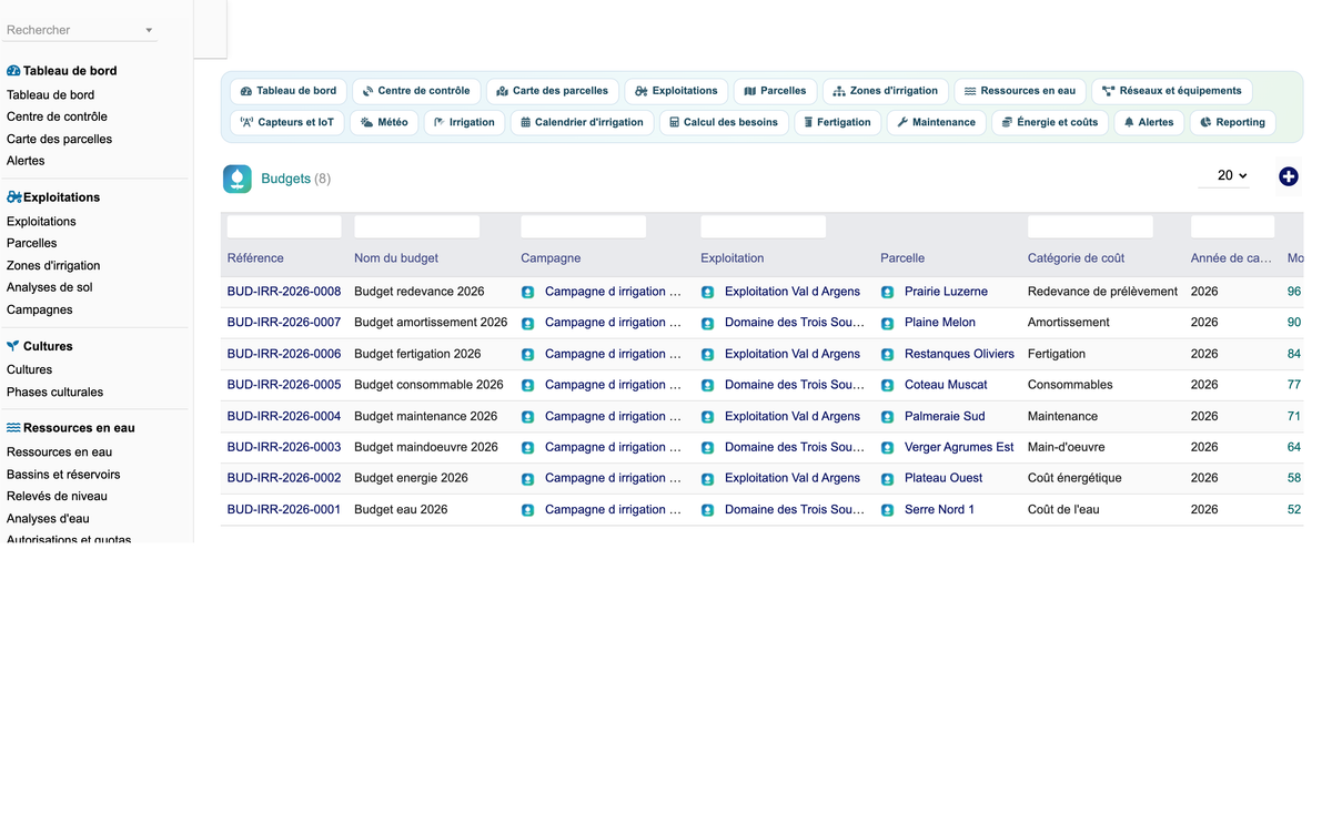 DoliResources - Dolibarr - 64_budgets