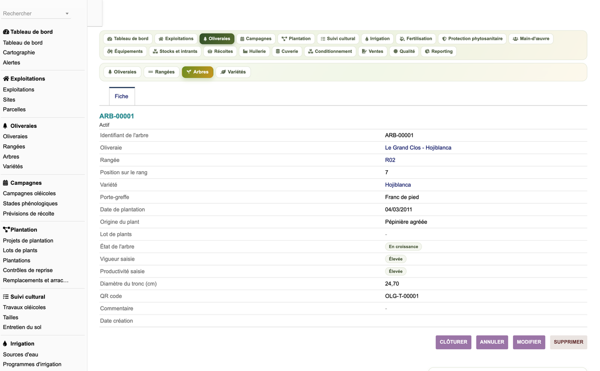 DoliResources - Dolibarr - 66_fiche_arbre