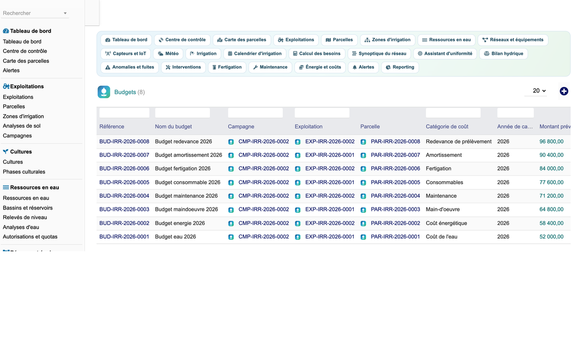 DoliResources - Dolibarr - 86_budgets
