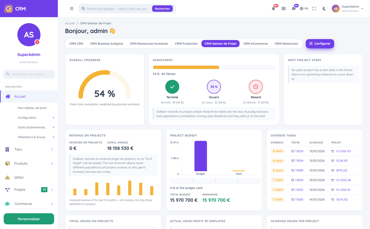 DoliResources - Dolibarr - dashboard_d0dbf848-3398-42e5-b3c1-7e875e026084